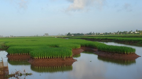 New rural development in Quynh Minh Village, Thai Binh province - ảnh 1